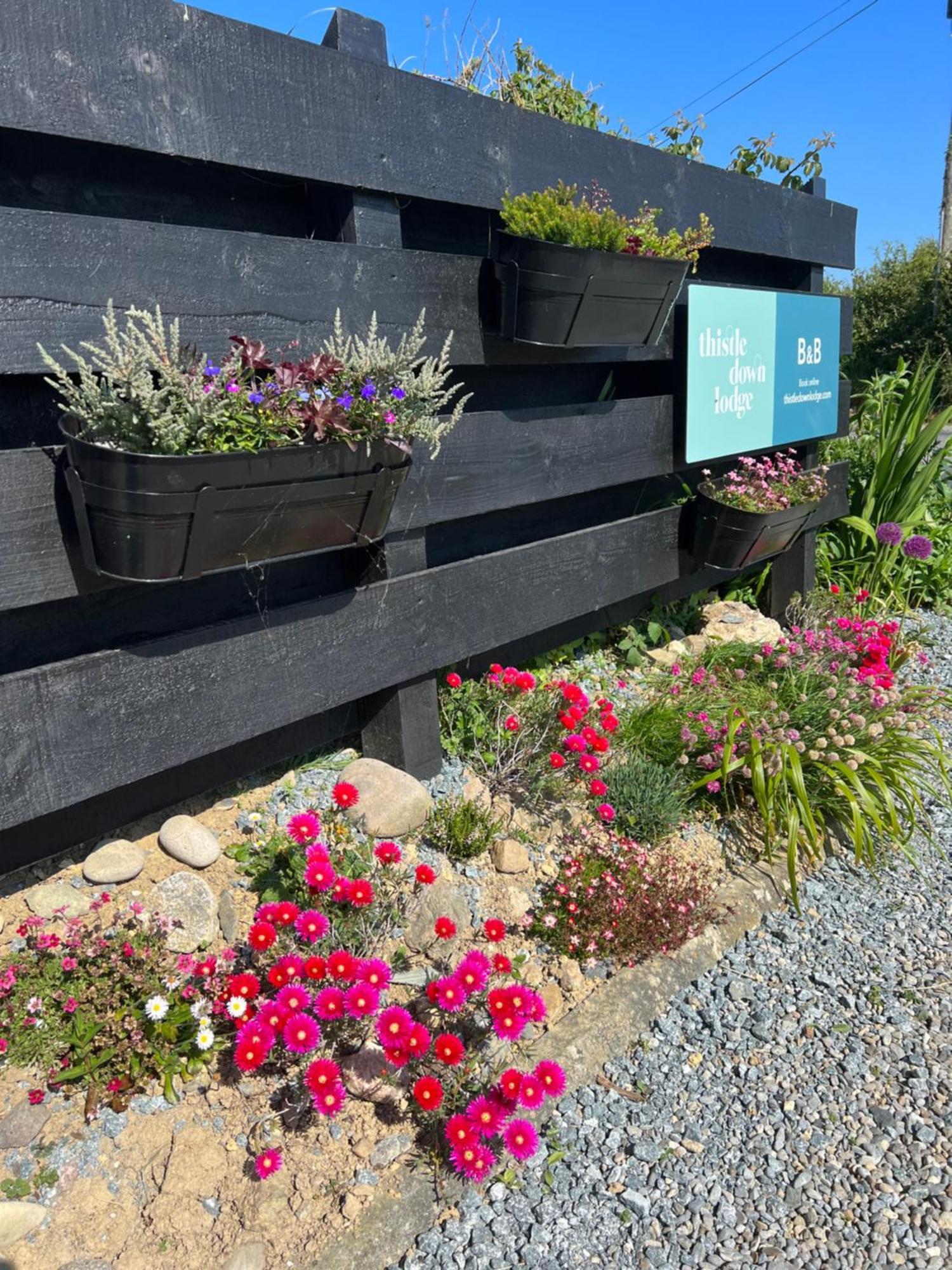 Thistledown Lodge Fethard-on-Sea Exterior foto